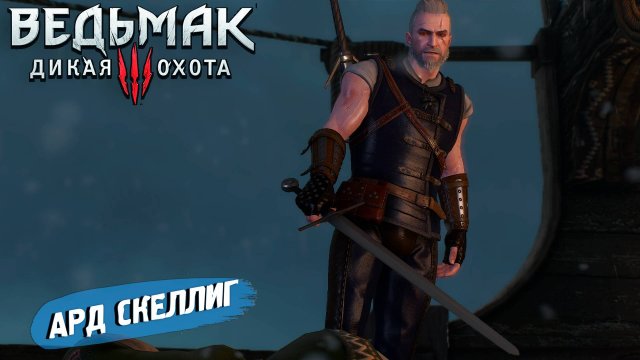 АРД СКЕЛЛИГ ➤ Ведьмак 3 Дикая Охота #33