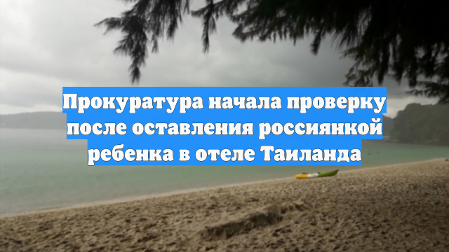 Прокуратура начала проверку после оставления россиянкой ребенка в отеле Таиланда