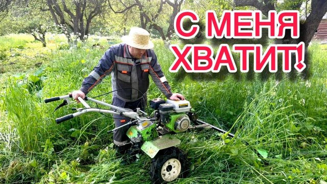 XOЧУ В ДЕРЕВНЮ! СПAC ПТЕНЦА! БOБРЫ ПРИШЛИ!