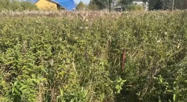 video_2025-09-22_10-42-14