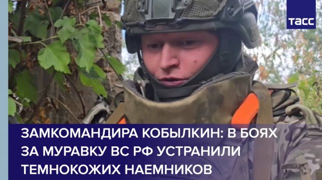 Замкомандира Кобылкин: в боях за Муравку ВС РФ устранили темнокожих наемников