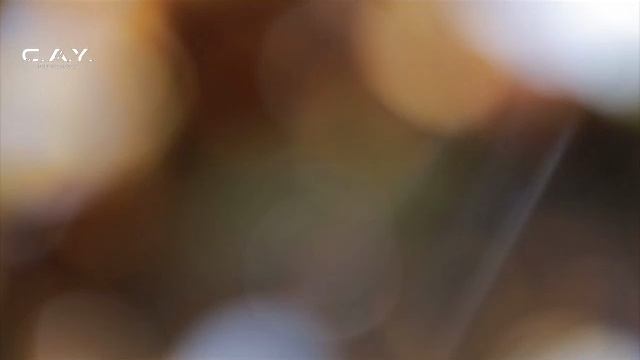 Stream