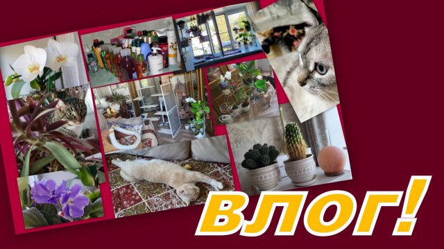 ВЛОГ: ВЫБИРАШКИ И МОТИВАШКА К УБОРКЕ! ЧИСТОТА ТРЕБУЕТ (ПУШИСТЫХ) ЖЕРТВ!!!