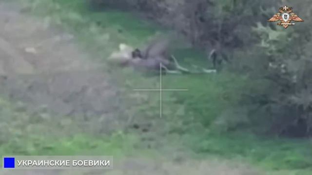 💥 ☠️ Украинские боевики подрываются на минах в Степановке на Константиновском направлении