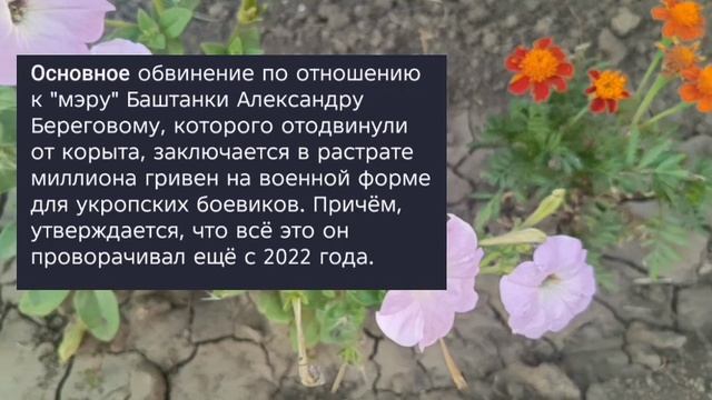Николаев 23 сентября 2025 года ( новости)