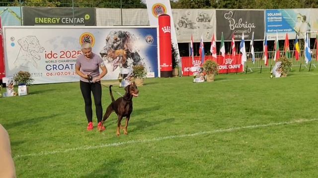 IDC 2025 Smart Wood Hills Ilarita working class final
