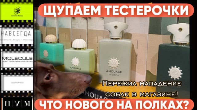 ПАРФЮМЕРНЫЕ НОВИНКИ / ЧТО НОВОГО НА ПОЛКАХ? СЕНТЯБРЬ🍁 2025