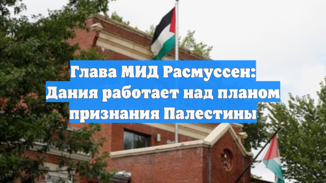Глава МИД Расмуссен: Дания работает над планом признания Палестины
