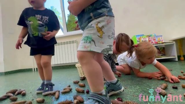 Развитие крупной моторики у самых маленьких (шишки, желуди) Funny Ant Malahovka