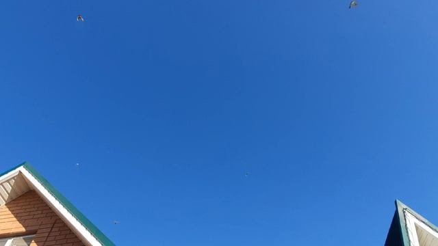 22.09.25 г. Андижанская молодёжь (3)