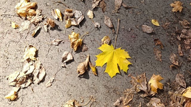 23.09.2025 🍁