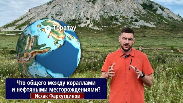 Что общего между кораллами и нефтяными месторождениями как их помогают искать современные технологии