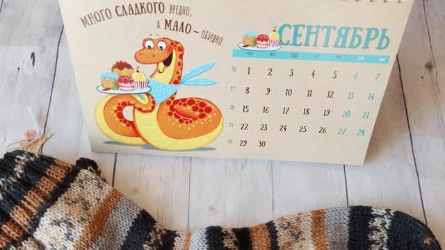 СП "Носочки с Таней 2025". отчёт за сентябрь🧦🧦🧶🧶. участник #3