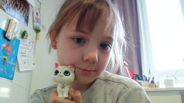 24 часа с котиком