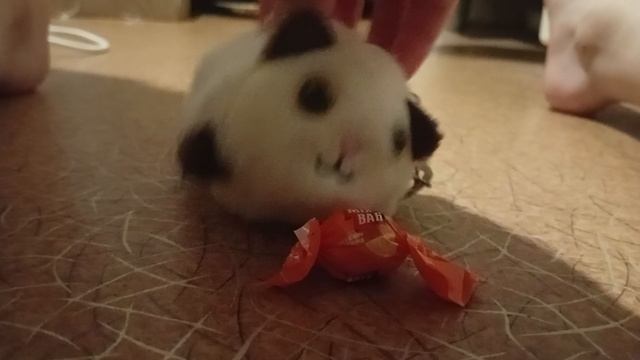у меня есть вкусная конфетка (: