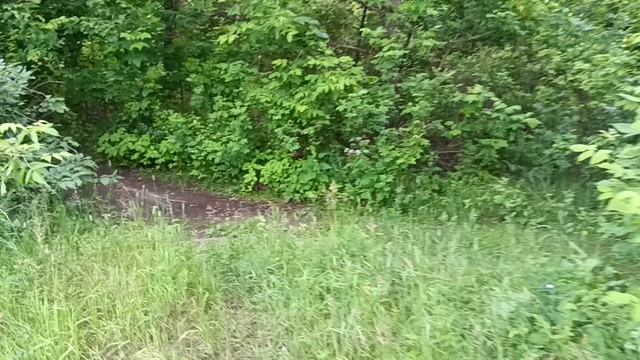 по берегу реки