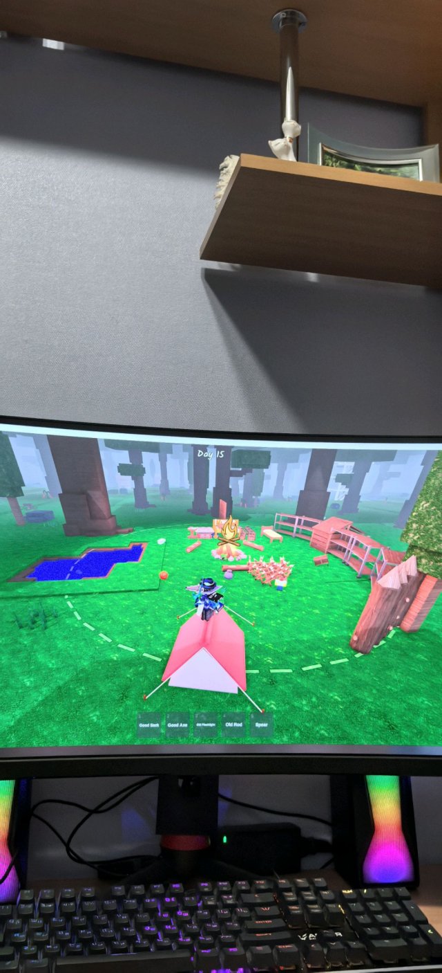 Play Roblox 4