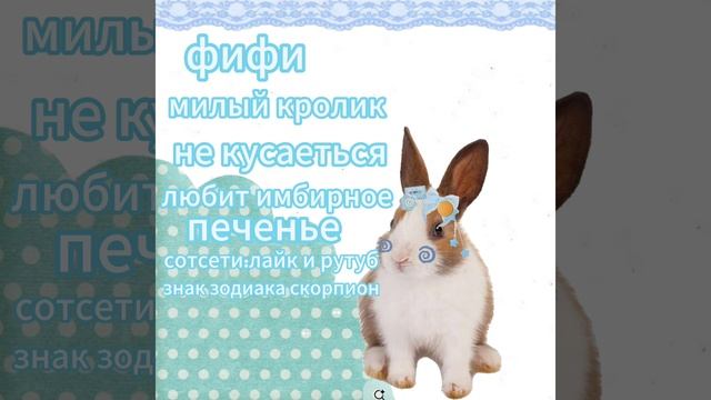 вот так и выглядит Фифи.