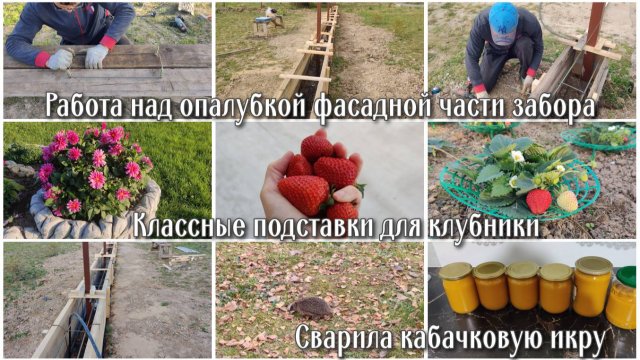 Работа над опалубкой фасадной части забора. Классные подставки для клубники. Сварила кабачковую икру