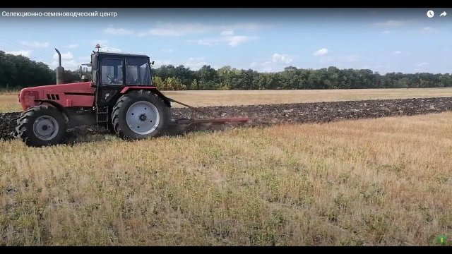 Селекционно-семеноводческий центр