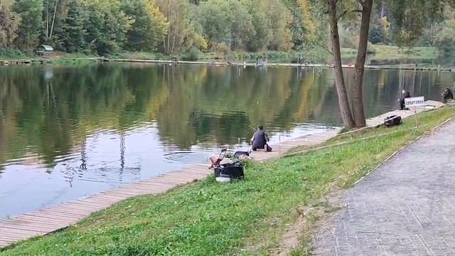 Поимка на донку