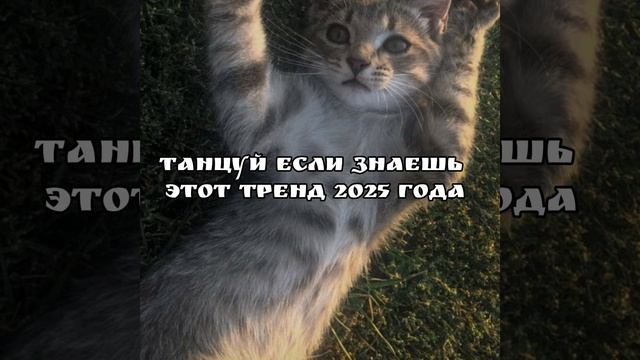 танцуй если знаешь этот тренд 2025 года