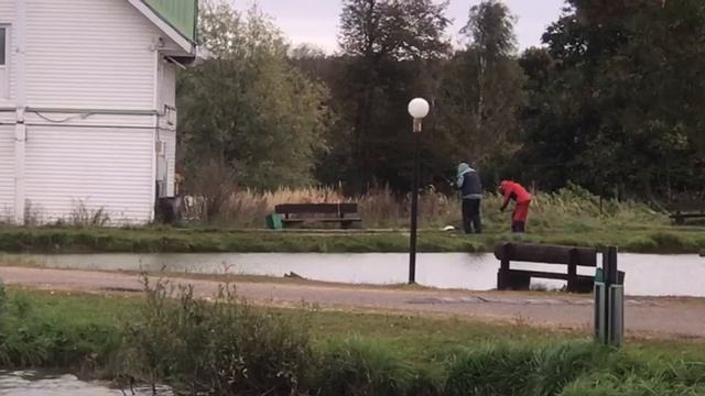 поимка форели на малом водоёме
