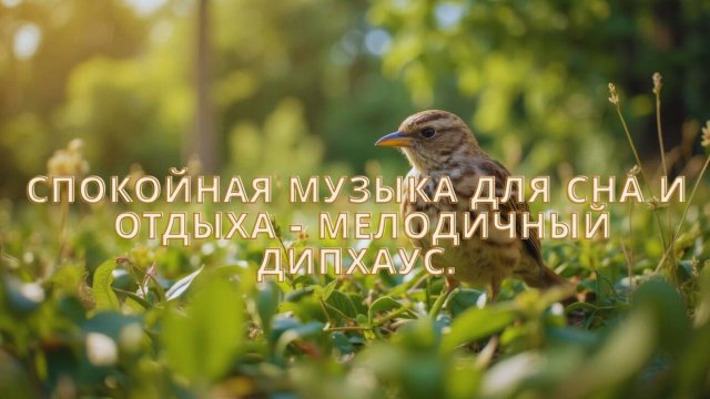 Спокойная музыка для сна и отдыха - мелодичный дипхаус.