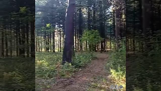 1000299164.mp4