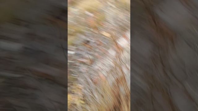 1000002817.mp4