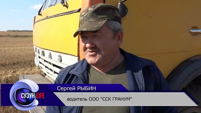 Уборка урожая в ООО "ССК- Гранум"