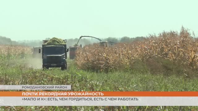 Почти рекордная урожайность