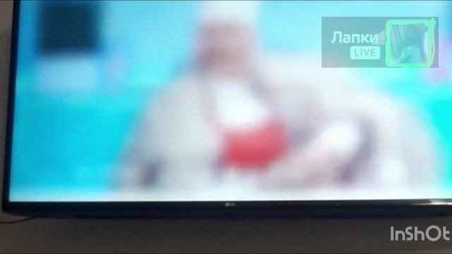 смена логотипа лапки лайф