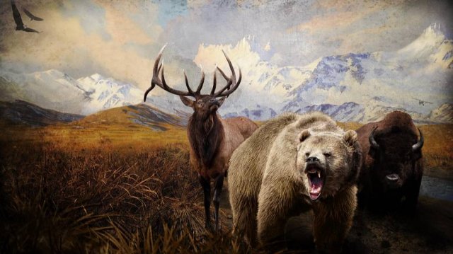 the Hunter Call of The Wild
