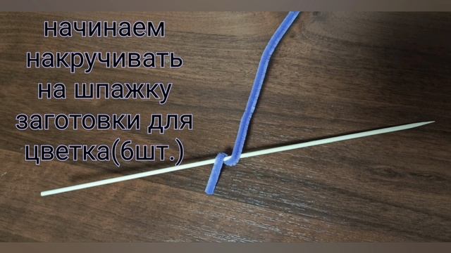 1000028261.mp4