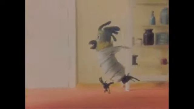 Рома, Рроома попугай 🦜 крича бежит