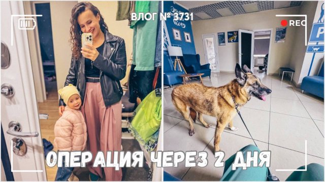 Анализы отличные - операция через два дня! | Зачем мне собака? -  ВЛОГ №3731 - 22.09.25