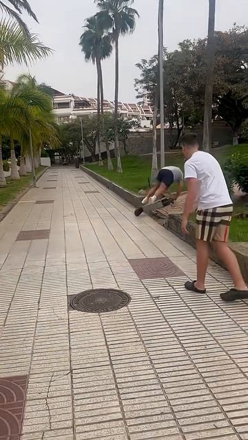 Смешные видео