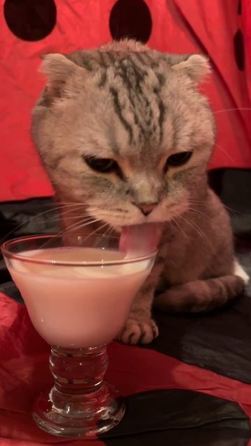 Отличное лечение😻