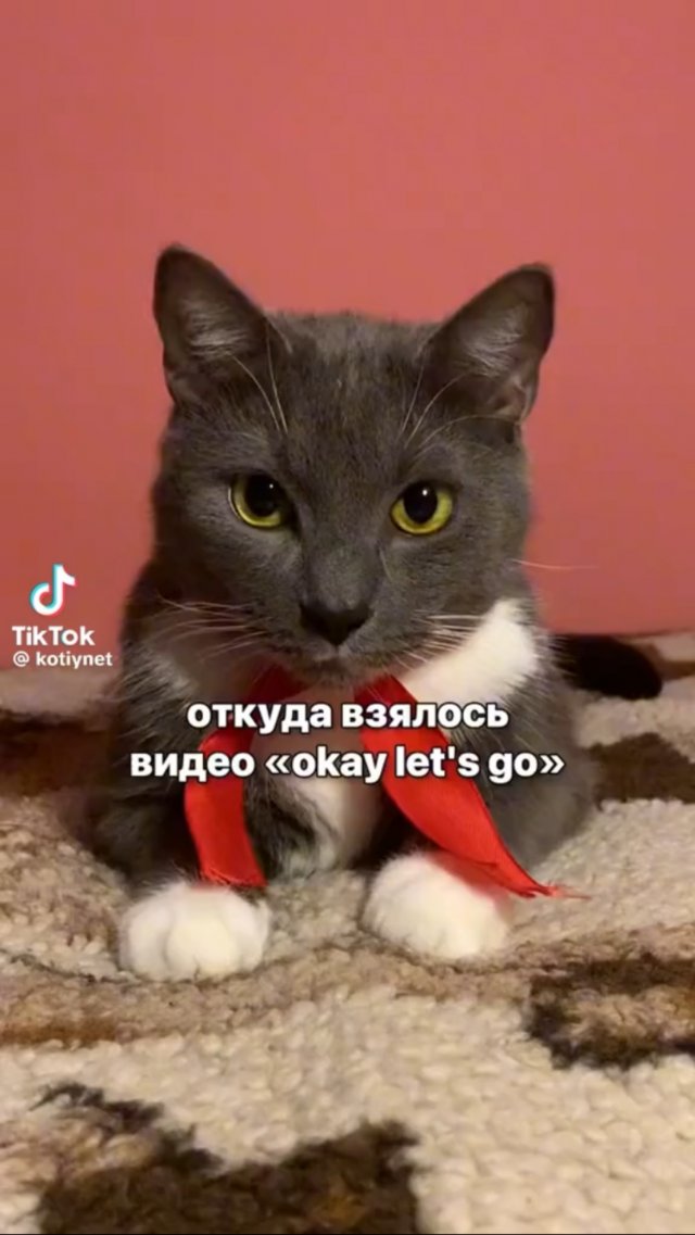 :3