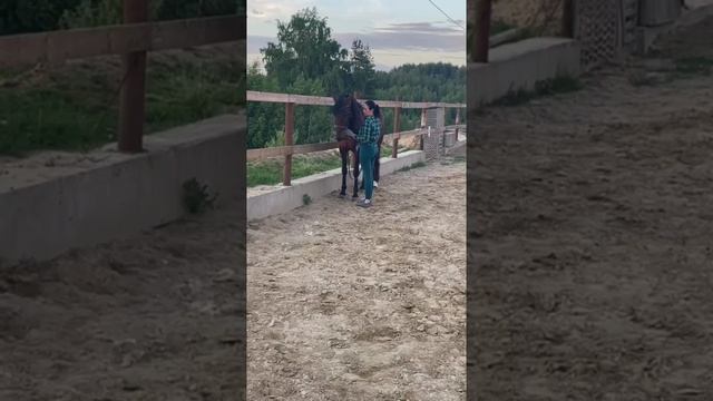 YouCut_20250924_004118449.mp4