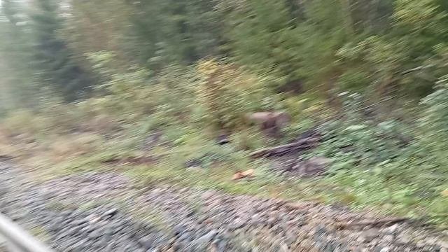 пути  в видео