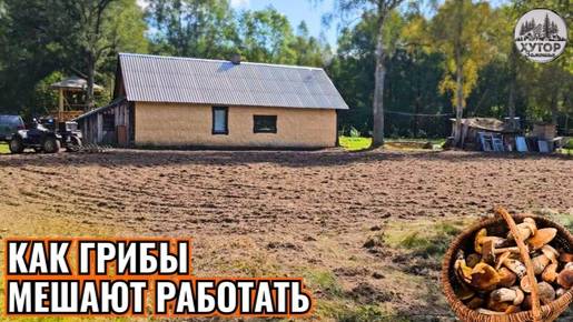 XУТОР ЗАМОШЬЕ! ГРИБЫ СОБИРАЛИ КОШАМИ! CTАРЫЙ САД ВЫРЫВАЛ ТРОСОМ! ЗЕМЛЮ ПАХАЛ НОЧЬЮ!