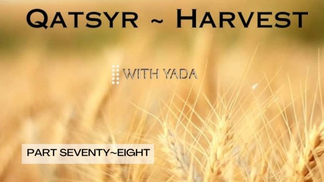 Qatsyr Harvests 👂🎺🌾 Seventy~Eight Yeah 5992 Yah 23 September 2025