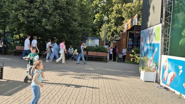 День знаний Видели ночь