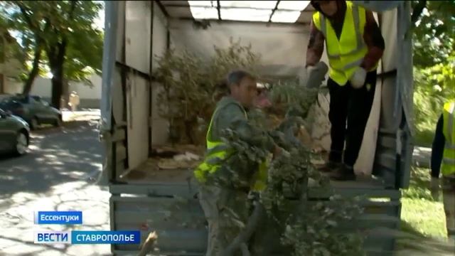 За чистотой в Ессентуках следит служба быстрого реагирования