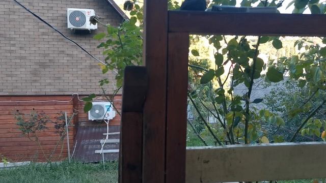 СОЧИ. ВОЗДУШНАЯ ТРЕВОГА