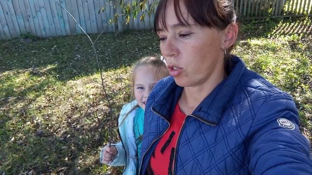 Поклеили обои.Готовлю выпечку  к чаю.