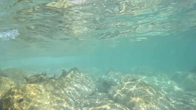 ПОД ВОДОЙ