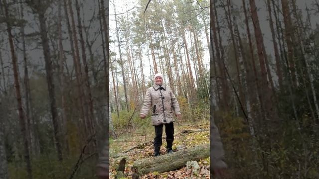 Танцы💃 💃 💃
